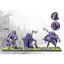 Para Bellum Wargames City States: Inquisitors (Kunststoff)