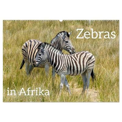 Zebras in Afrika (Wandkalender 2026 DIN A2 quer), CALVENDO Monatskalender