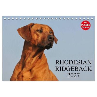 Rhodesian Ridgeback 2027 (Tischkalender 2027 DIN A5 quer), CALVENDO Monatskalender
