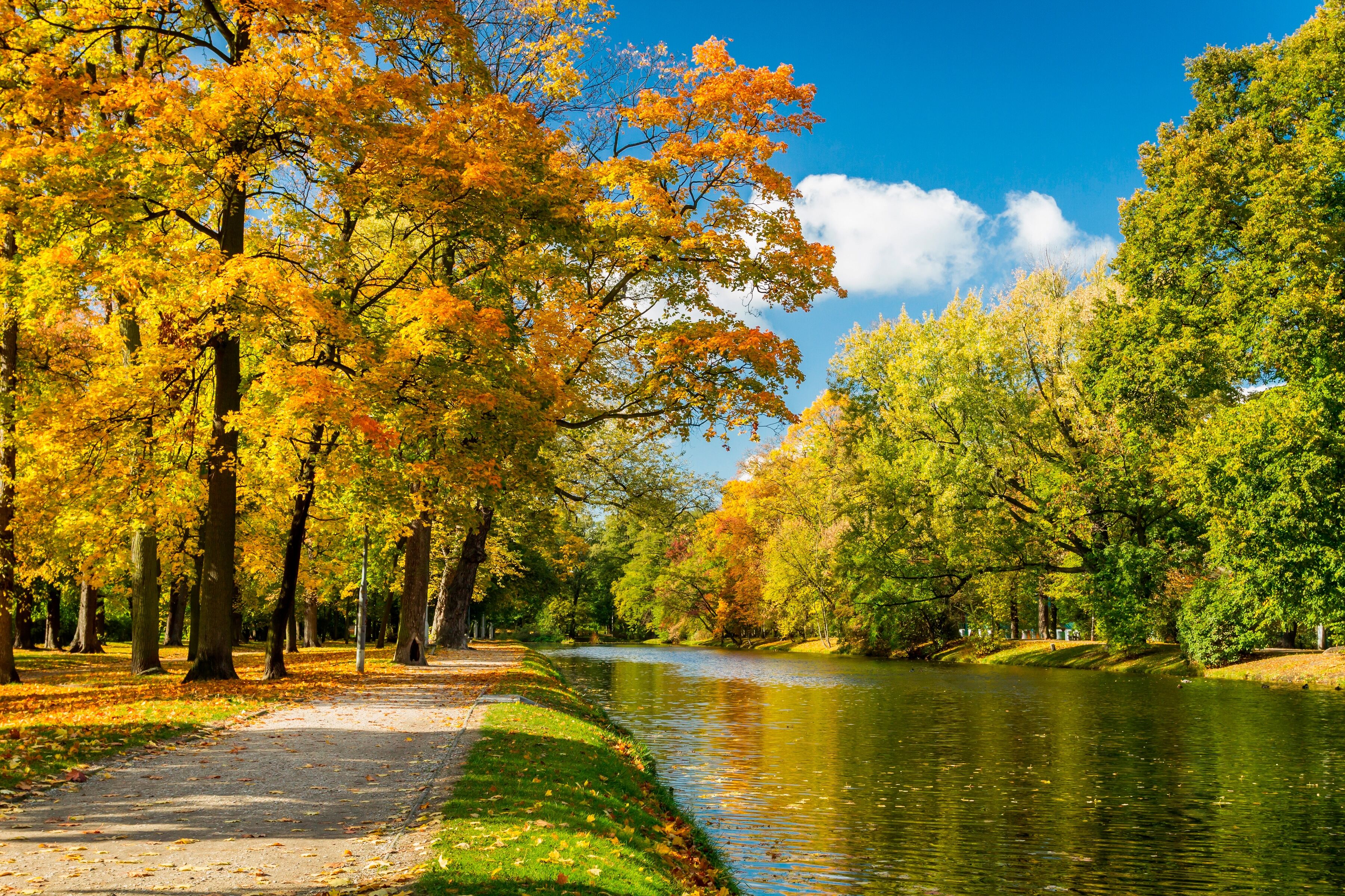 Fototapete PAPERMOON "River in Autumn Park", bunt, B:2m L:1,49m, Vlies, Tapeten, Fototapete bunt B/L: 2m x 1,49m, Bahnen: 4 Stk.