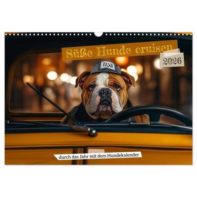 Süße Hunde cruisen - durch das Jahr mit dem Hundekalender (Wandkalender 2026 DIN A3 quer), CALVENDO Monatskalender