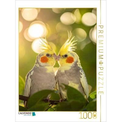 CALVENDO Puzzle Freunde im Busch - Nymphensittiche | 1000 Teile Lege-Größe 64x48cm Foto-Puzzle für glückliche Stunden