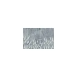 Ziro HydroDesign Wall Pampasgrass Bild 3/4