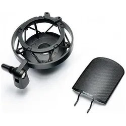 Takstar TAK55, Mikrofon