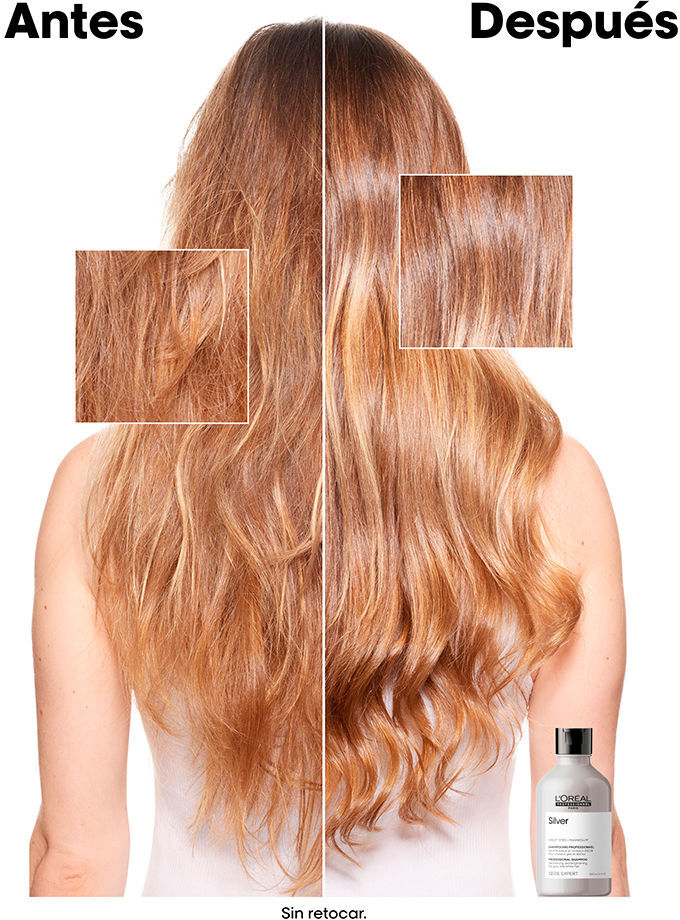 L'Oréal Professionnel Paris Shampoing Argent 300 ml