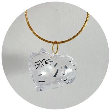 Uplifted Finds Adorable Transparent Pet Hair Memorial Keychain DIY Cat & Dog Fur Storage Pendant cat 3 5 Pcs