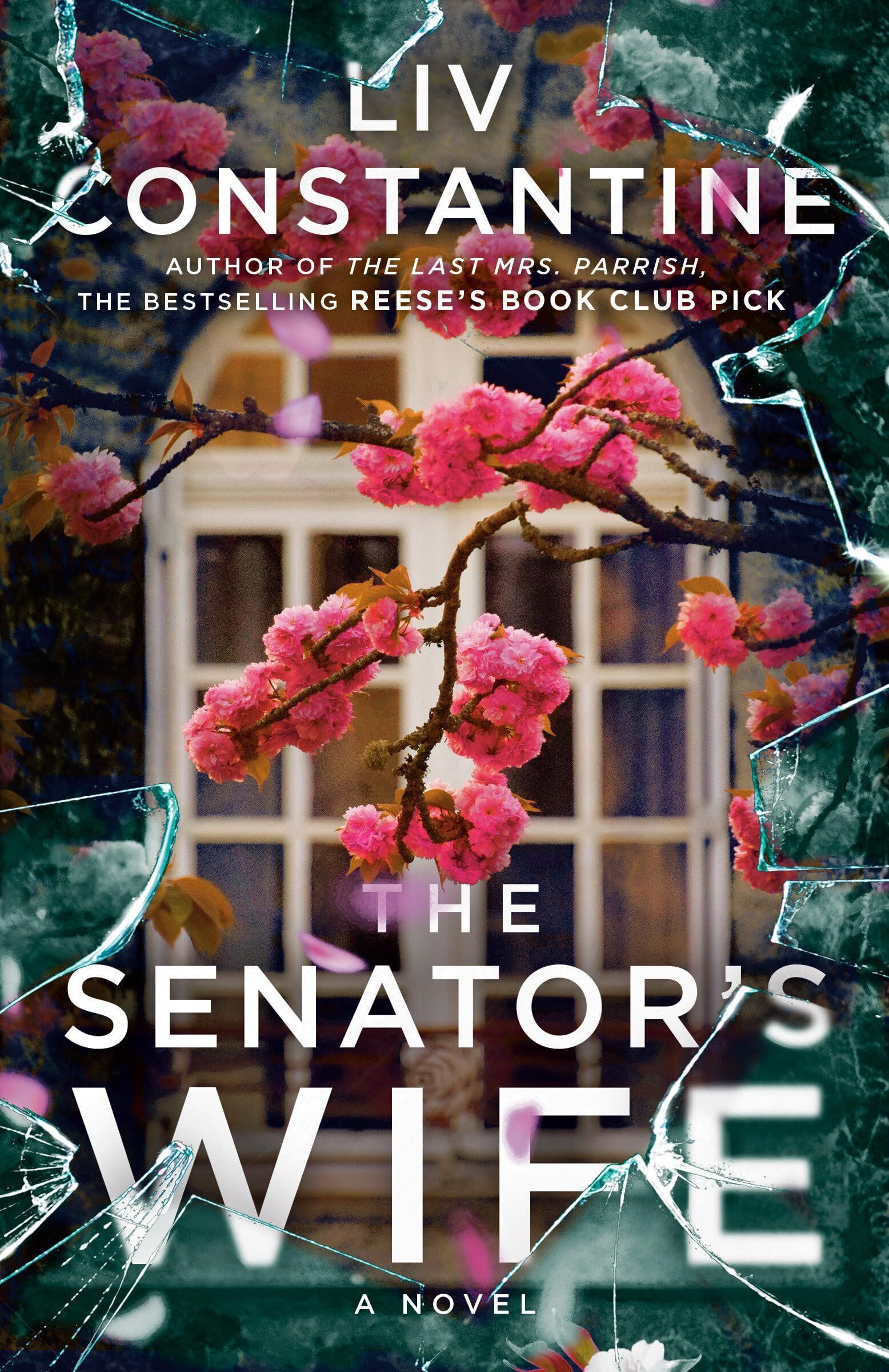 Liv Constantine - The Senator's Wife: A Novel - Preis vom 11.10.2026 03:10:56 h