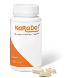 KARADOL magensaftresistente Kapseln 120 St