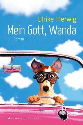 Ulrike Herwig - Mein Gott, Wanda: Roman - Preis vom 18.10.2026 15:28:09 h