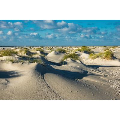 Fototapete PAPERMOON "DÜNEN-NATUR NORD SEE SAND STRAND MEER WÜSTE LANDSCHAFT", bunt, B:3,5m L:2,6m, Vlies, Tapeten