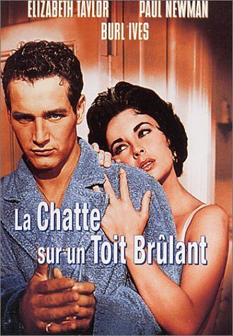 Richard Brooks - La Chatte sur un toit brûlant [FR IMPORT] - Preis vom 14.10.2026 23:07:16 h