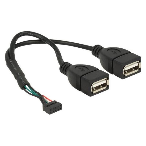 Delock USB-Kabel intern auf extern (0.20 m) (84933)