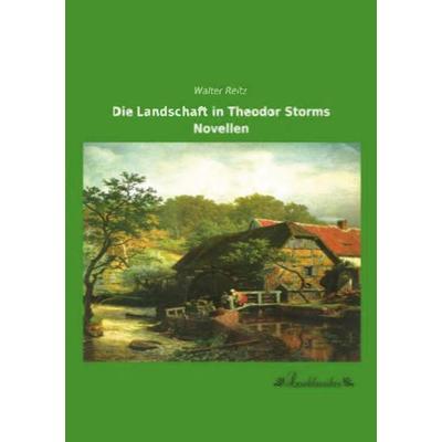 Die Landschaft in Theodor Storms Novellen, Taschenbuch von Walter Reitz, Leseklassiker, 978-3-95563-403-2
