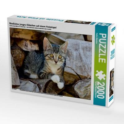 CALVENDO Puzzle Niedliches junges Kätzchen auf einem Holzstapel | 2000 Teile Lege-Größe 90 × 67 cm Foto-Puzzle für glückliche Stunden
