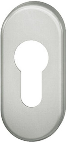 FSB Rosace de clé PT, PZ, 0 17 1757, ovale, v (0 17 1757 00010 8220)