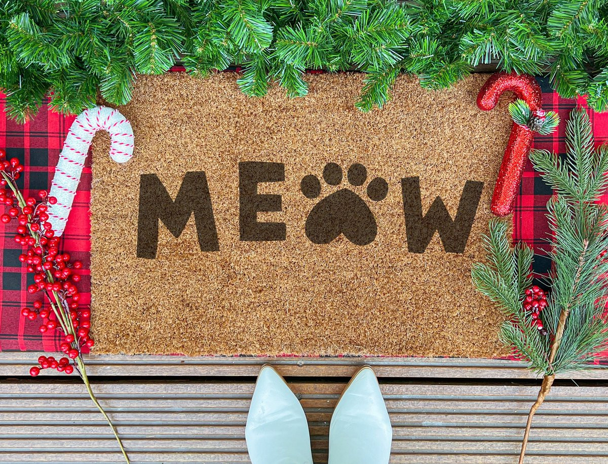 Laser Point Ingangsmat Meow 90 x 60 cm