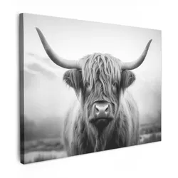 LEINWANDBILD Schottischer Highlander - Nebel - Schwarz - Weiß Wandbilder 80x60 cm