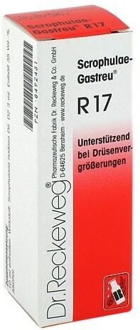 Scrophulae Gastreu R 17 Tropfen zum Einnehmen