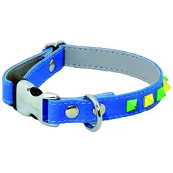 Alter Ego Italy Color (S, Hund, Allgemein, Spazieren), Halsband + Leine