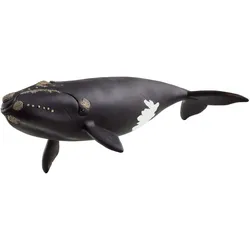 Schleich Nordatlantischer Glattwal