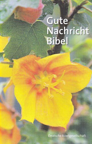 Gute Nachricht Bibel. Motiv Gelbe Blüte: Ohne die Spätschriften des Alten Testaments. Großausgabe - Preis vom 04.10.2026 03:51:26 h
