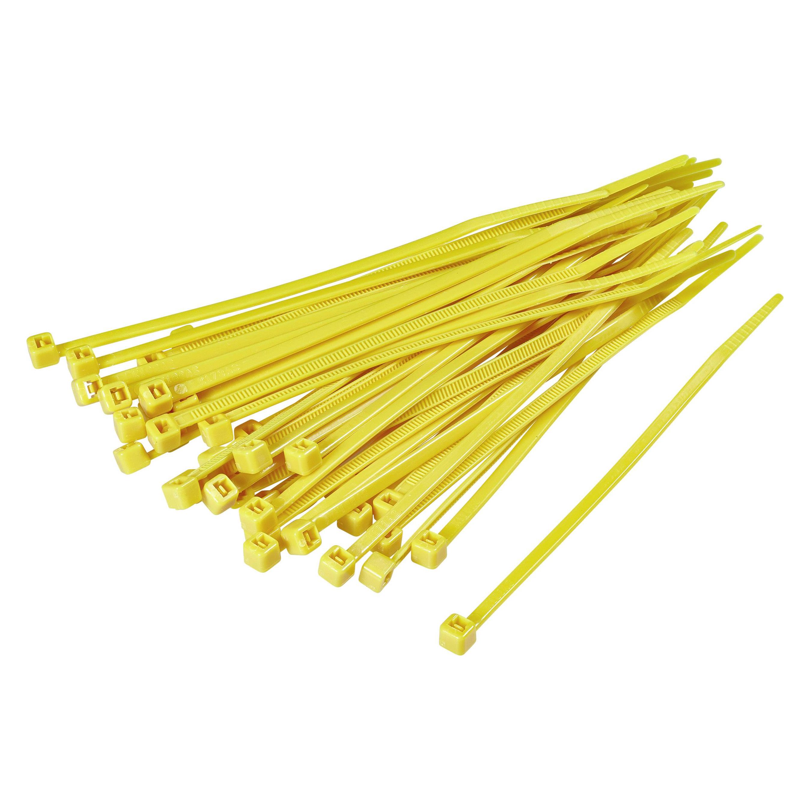 Tru Components StandardKabelbinder innenverzahnt (Kunststoffkabelbinder, 100 mm, 100 Stk.) (1593684)