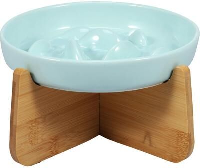 Inspired Finds ElevaBite Ceramic Raised Cat Bowl With Wooden Stand light Green