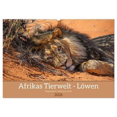 Afrikas Tierwelt - Löwen (Wandkalender 2026 DIN A2 quer), CALVENDO Monatskalender