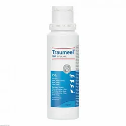 TRAUMEEL Gel ad us.vet. 1X250 g