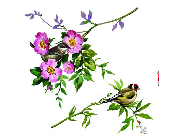 Komar Dekosticker, Mehrfarbig, Kunststoff, 5-teilig, Tiere, Tierform, 31x31 cm, einfache und schnelle Anbringung, selbstklebend, Tapeten & Wandverkleidungen, Wandtattoos & Sticker, Wandsticker