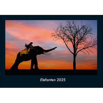 Elefanten 2025 Fotokalender DIN A4