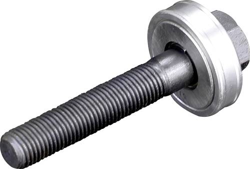 Rittal 4055632 Zugschraube mit Kugellager