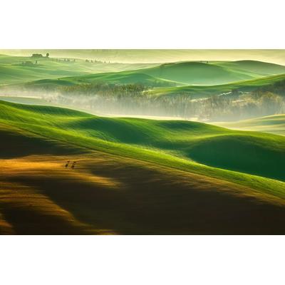 Fototapete PAPERMOON "Photo-Art KRZYSZTOF BROWKO, FREIHEIT", bunt, B:4m L:2,6m, Vlies, Tapeten