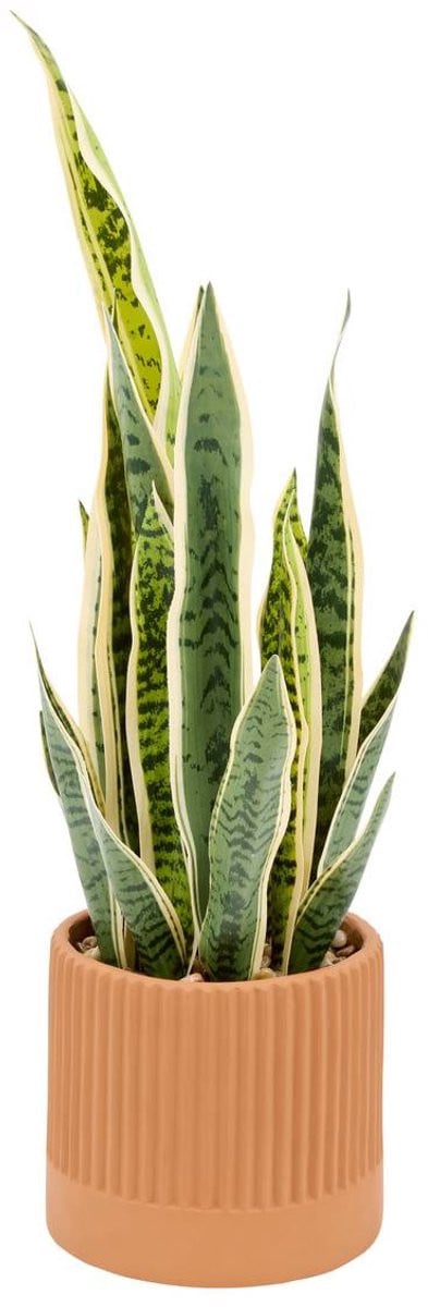 Atmosphera Kunstplant in pot, Groen