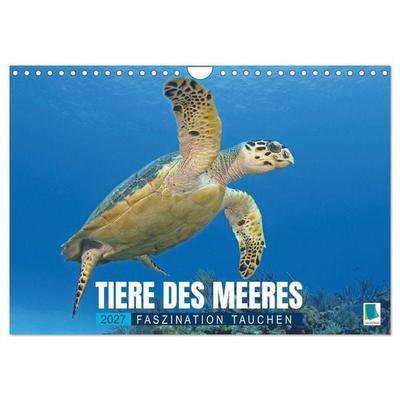 Tiere des Meeres: Faszination Tauchen (Wandkalender 2027 DIN A4 quer), CALVENDO Monatskalender