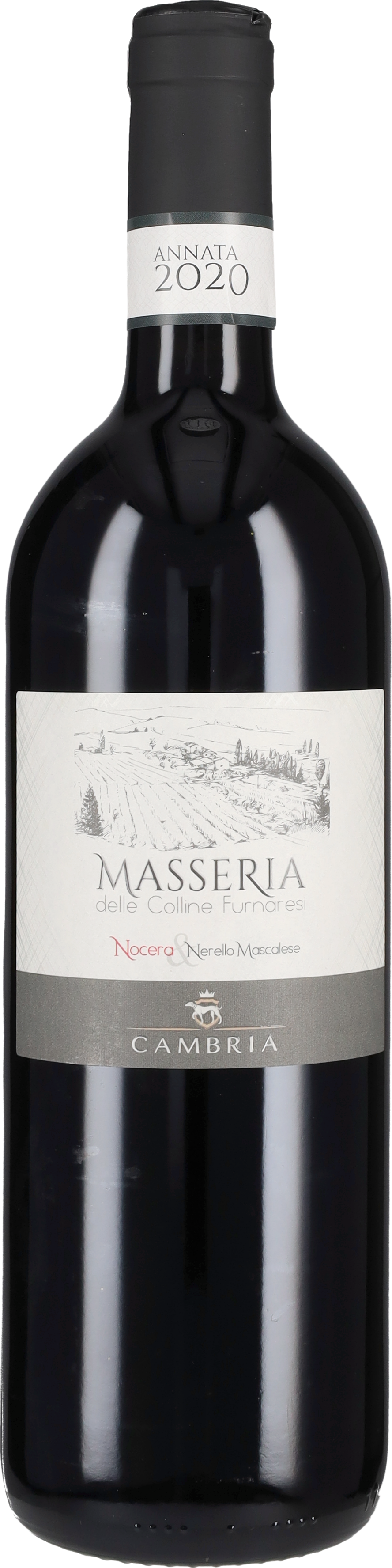 Cambria Masseria' 2021