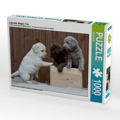CALVENDO Puzzle Labrador Welpen Trio | 1000 Teile Lege-Größe 64x48cm Foto-Puzzle für glückliche Stunden