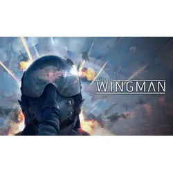 Project Wingman