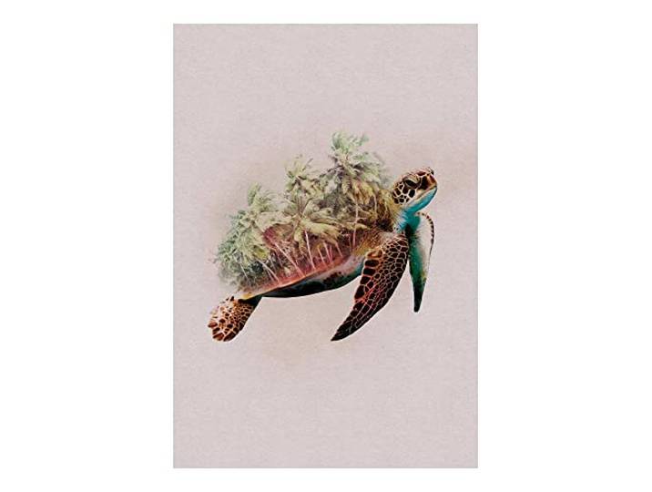 Komar Animals Paradise Turtle - Größe: 50 x 70 cm, Wandbild, Poster, Kunstdruck (ohne Rahmen), PURE Boutique