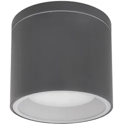 Außenleuchte Deckenleuchte Deckenspot Glas Gartenlampe rund Deckenlampe Außen IP44, Aluminium anthrazit, 1x GX53 LED, DxH 10,8x9,6 cm