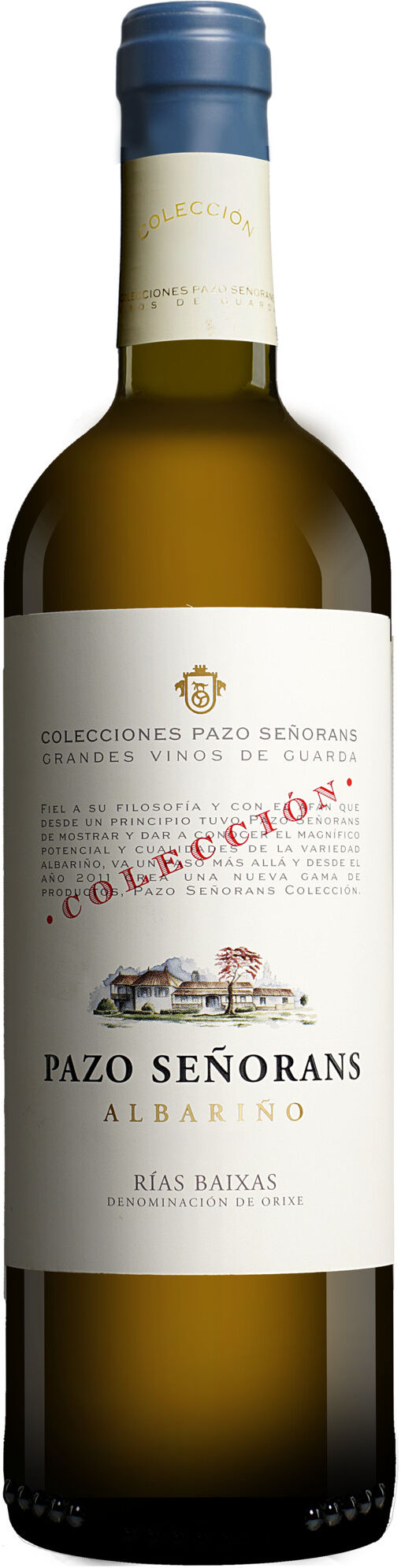 Pazo de Señoráns Pazo de Señorans Colleción 2022 13% Vol. Weißwein Trocken aus Spanien