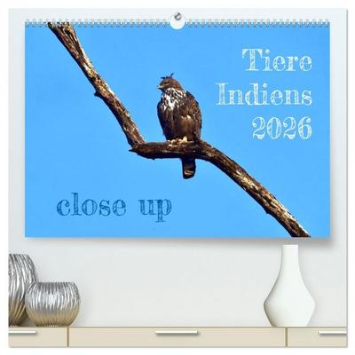 Tiere Indiens close up (hochwertiger Premium Wandkalender 2026 DIN A2 quer), Kunstdruck in Hochglanz