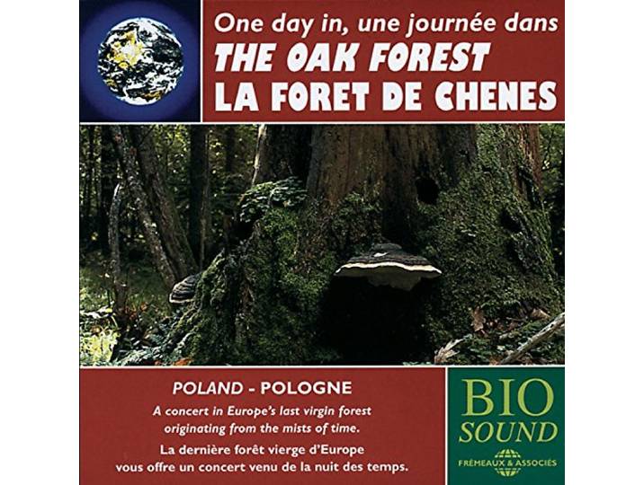 Une Journee Dans la Foret de Chenes - the Oak Fore