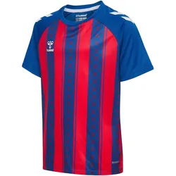 hummel hmlMATCH Striped Fußball Trikot Kinder 7358 - true blue/true red 128