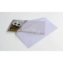 sigel Briefumschläge transparent DIN lang ohne Fenster - 25 Stück