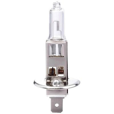 IWH 019352 Halogen Leuchtmittel H1 55W 12V