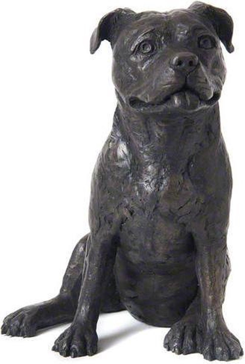 Staffordshire Terriër asbeeld urn, 30 cm