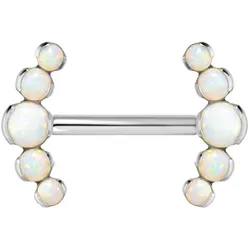 Titan Barbell mit Push Fit 5 SYNTHETISCHE OPALE