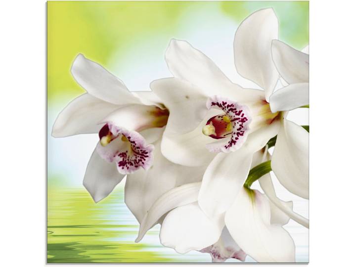 Glasbild ARTLAND Weisse Orchidee , weiss (farbe bild(er): weiß), B:20cm H:20cm, Bilder, Glasbild, in verschiedenen Grössen