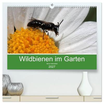 Wildbienen im Garten (hochwertiger Premium Wandkalender 2027 DIN A2 quer), Kunstdruck in Hochglanz